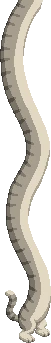 Long Cat