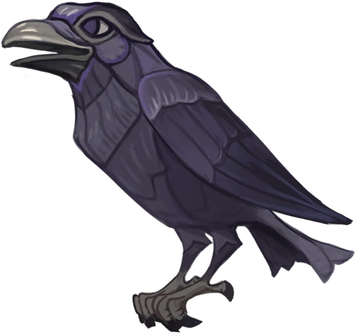 Curious Crow