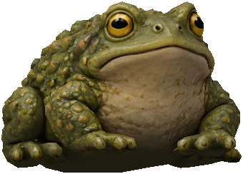 Kulatá ropucha