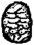 Cocoon Tingi game icon