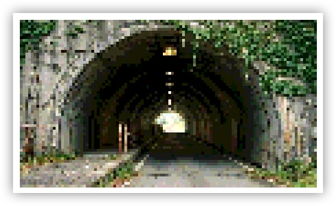 Flowering Tunnel