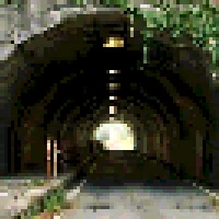 Flowering Tunnel