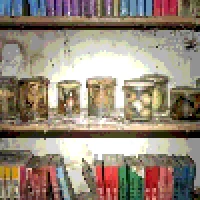 Parts preserved in formaldehyde