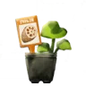 レンコンの苗