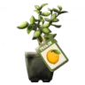 レモンの苗木