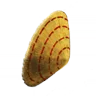 壁掛け菅笠