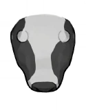 Cow apparition — Ghost cow event · shared cow model detail